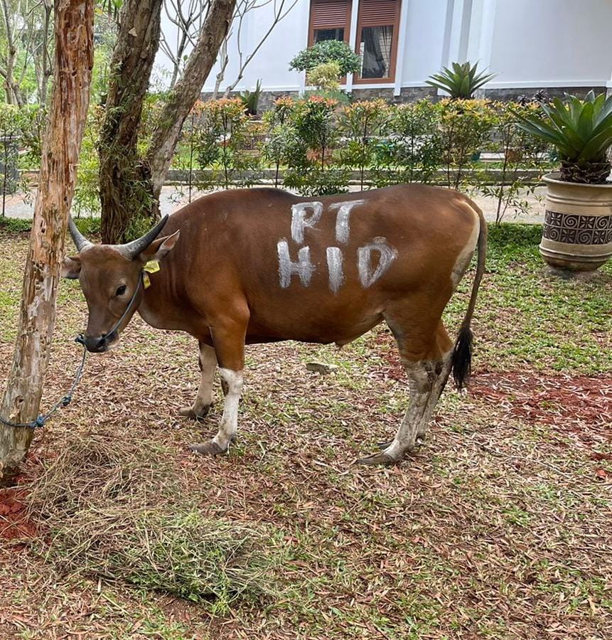 Penyerahan Hewan Qurban dalam rangka Idul Adha 1445 H